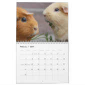 Calendrier de cochons d'Inde 2026 (Feb 2027)