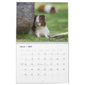 Calendrier de cochons d'Inde 2027 (Mar 2027)