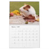 Calendrier de cochons d'Inde 2027 (Feb 2027)