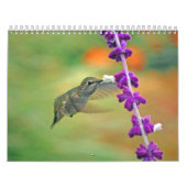 Calendrier de colibri de jardin (Protection)