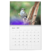 Calendrier de colibri de jardin (Mar 2027)