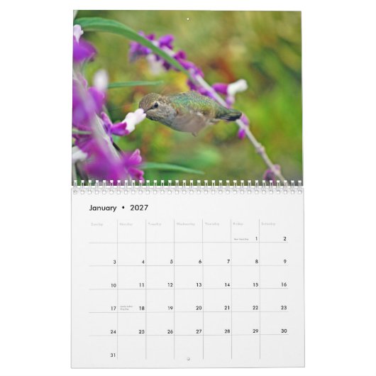 Calendrier de colibri de jardin (Jan 2027)