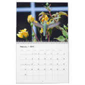 Calendrier de colibri de jardin (Feb 2027)