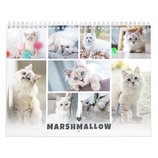 Calendrier de collage photo de chat pour animaux d (Protection)