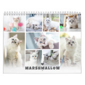 Calendrier de collage photo de chat pour animaux d (Protection)