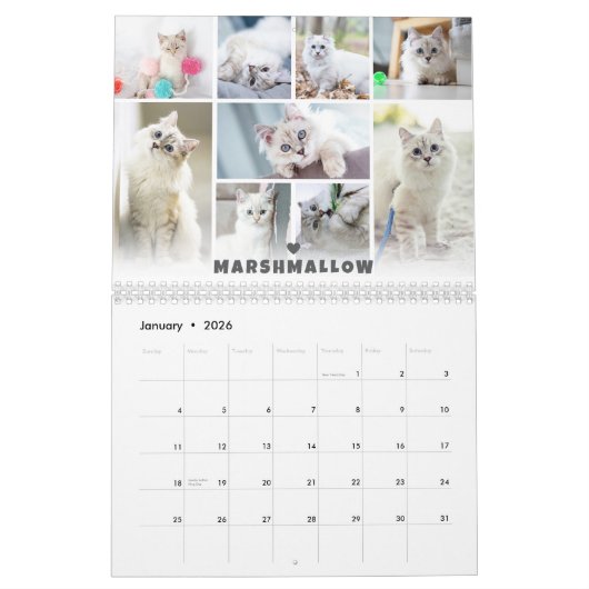 Calendrier de collage photo de chat pour animaux d (Jan 2026)