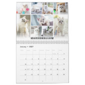 Calendrier de collage photo de chat pour animaux d (Jan 2027)