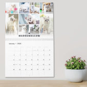 Calendrier de collage photo de chat pour animaux d