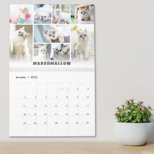 Calendrier de collage photo de chat pour animaux d