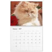 Calendrier de collecte de chats de chats de chats (Feb 2027)