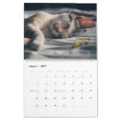 Calendrier de collecte de chats de chats de chats (Mar 2027)