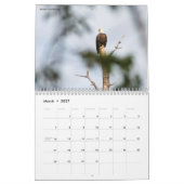 Calendrier de collection de photographie de faune (Mar 2027)