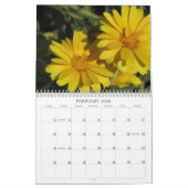 Calendrier de collection du jardin de Cindy (Feb 2026)