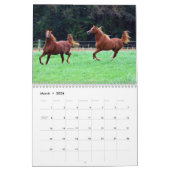 Calendrier de colts de BOGO PICS de 3 ans (Mar 2026)