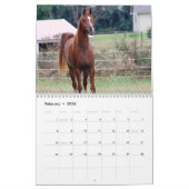 Calendrier de colts de BOGO PICS de 3 ans (Feb 2026)