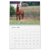 Calendrier de colts de BOGO PICS de 3 ans (Jan 2027)