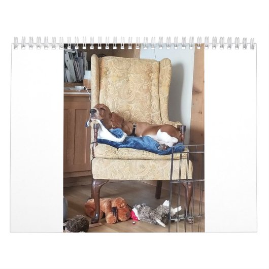 Calendrier de conservation des actifs 24 mois (Protection)