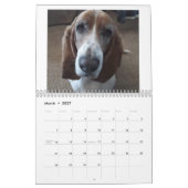 Calendrier de conservation des actifs 24 mois (Mar 2027)