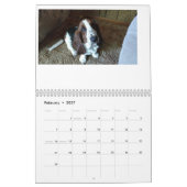 Calendrier de conservation des actifs 24 mois (Feb 2027)