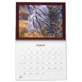 calendrier de couverture de méduses (Mar 2027)