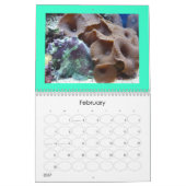 calendrier de couverture de méduses (Feb 2027)