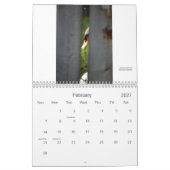 Calendrier de cygnes de Stratford (Feb 2027)