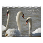 Calendrier de cygnes de Stratford (Protection)