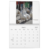 Calendrier de cygnes de Stratford (Mar 2027)