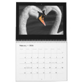 Calendrier de cygnes et de jeunes cygnes (Feb 2026)