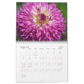 CALENDRIER DE DAHLIA 2021 (Feb 2027)