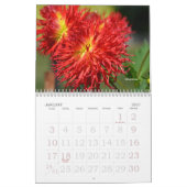 CALENDRIER DE DAHLIA 2021 (Jan 2027)