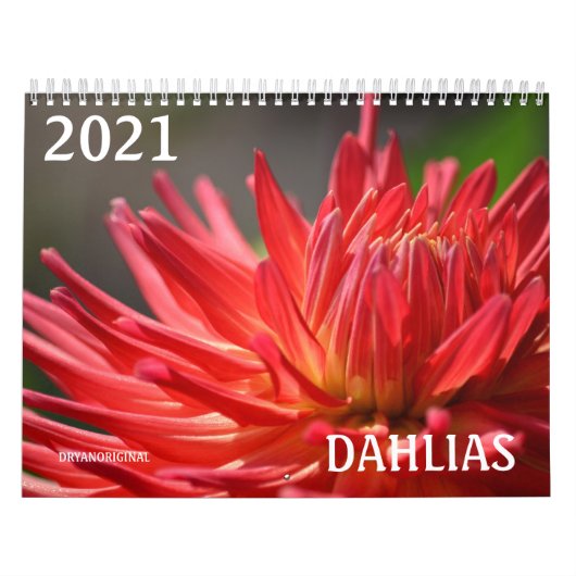 CALENDRIER DE DAHLIA 2021 (Protection)