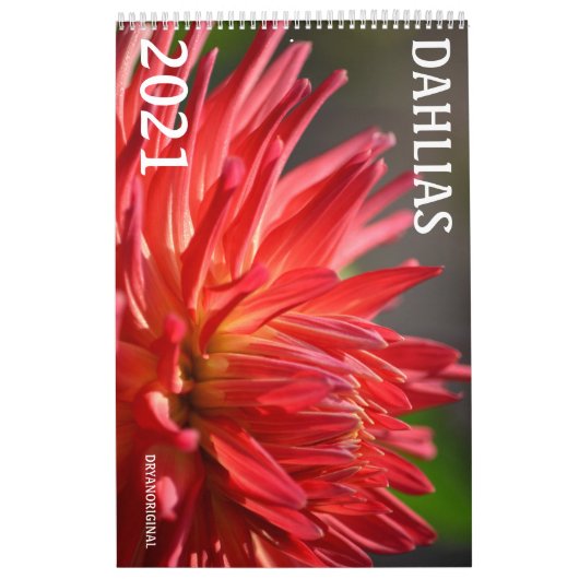 CALENDRIER DE DAHLIA 2021 (Protection)