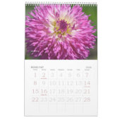 CALENDRIER DE DAHLIA 2021 (Feb 2026)