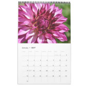 CALENDRIER DE DAHLIA 2021 (Jan 2027)