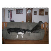 Calendrier de Danois (Protection)