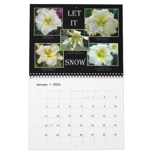 Calendrier de Daylily de 2014 AHS (Jan 2026)