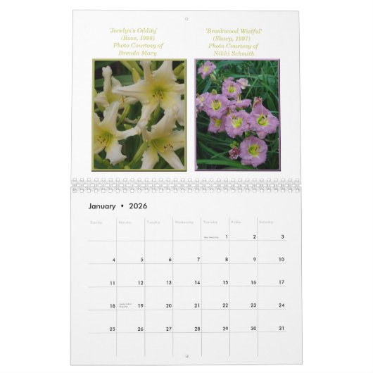 Calendrier de Daylily de 2015 AHS (Jan 2026)