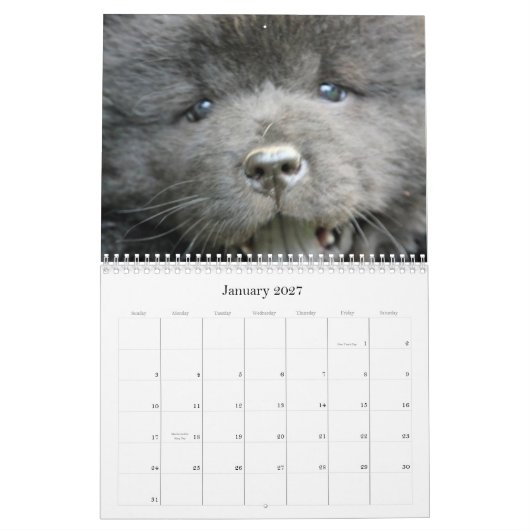 Calendrier de délivrance de bouffe de bouffe (Jan 2027)