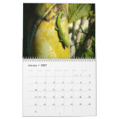 Calendrier de destination pittoresque Hawaii 2022 (Jan 2027)