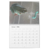 Calendrier de deux grenouilles vertes 2023 (Jan 2026)