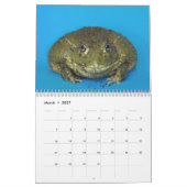 Calendrier de deux grenouilles vertes 2025 (Mar 2027)