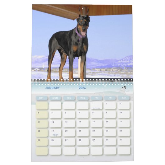 Calendrier de dobermann (Jan 2026)