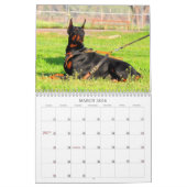 Calendrier de dobermann (Mar 2026)