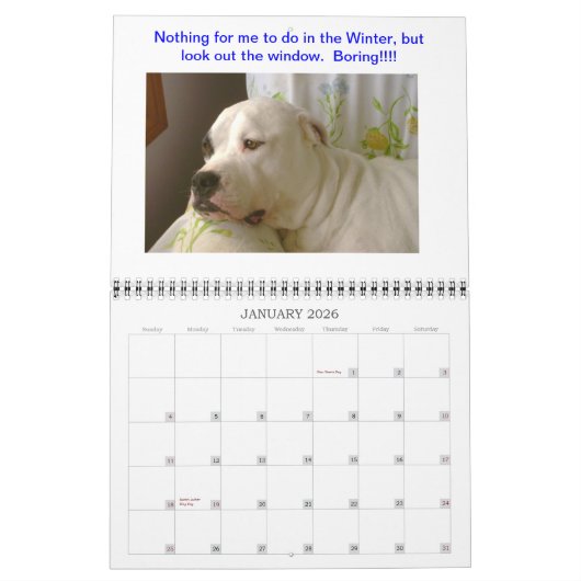 Calendrier de Dogo (Jan 2026)