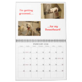 Calendrier de Dogo (Feb 2026)