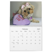 Calendrier de douze mois de la lucette 2014 de (Feb 2027)