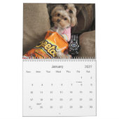 Calendrier de douze mois de la lucette 2014 de (Jan 2027)