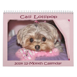 Calendrier de douze mois de la lucette 2014 de