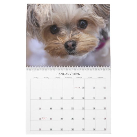 Calendrier de douze mois de la lucette 2015 de (Jan 2026)